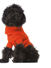 Benetton džemper za kuce xl 