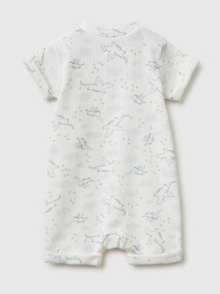 Benetton zeka za bebe 