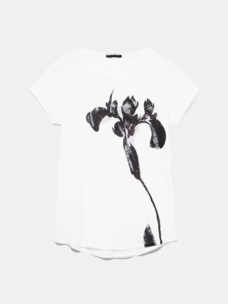 Sisley ženska majica k/r 