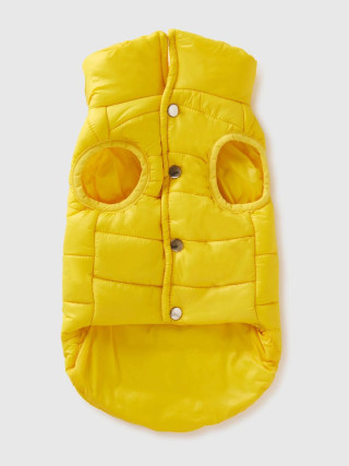 Benetton prsluk za psa 