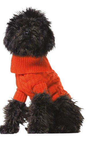 Benetton džemper za kuce xl 