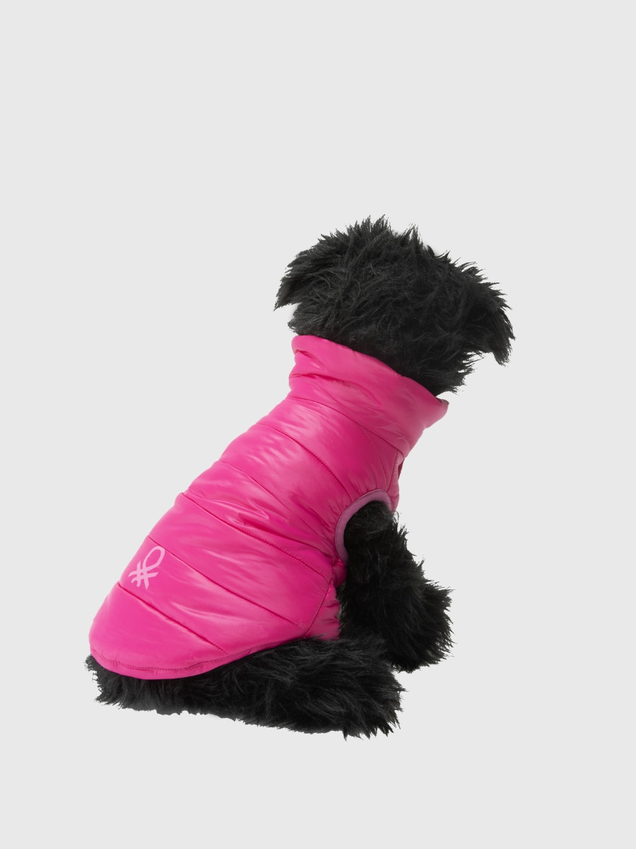 Benetton prsluk za psa xs 