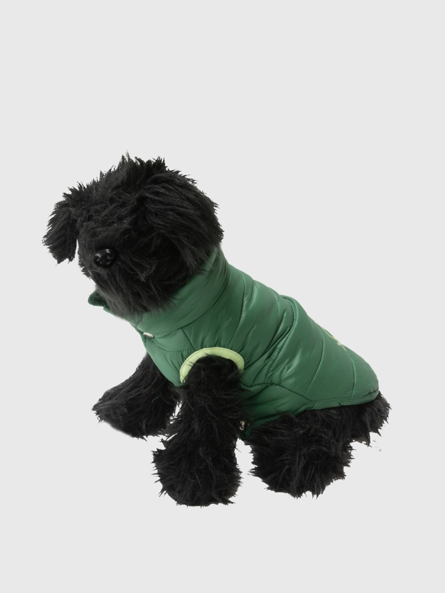 Benetton prsluk za psa xs 