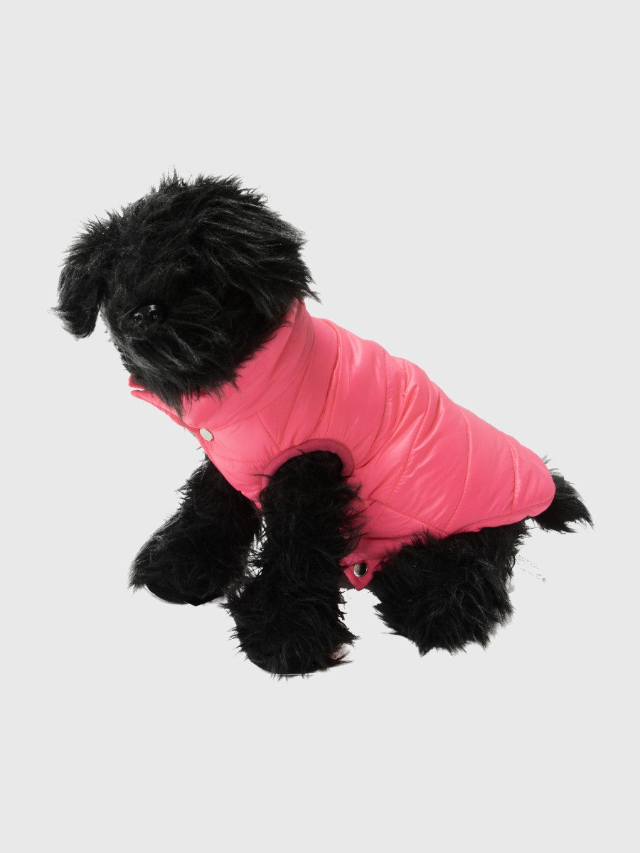 Benetton prsluk za psa xs 