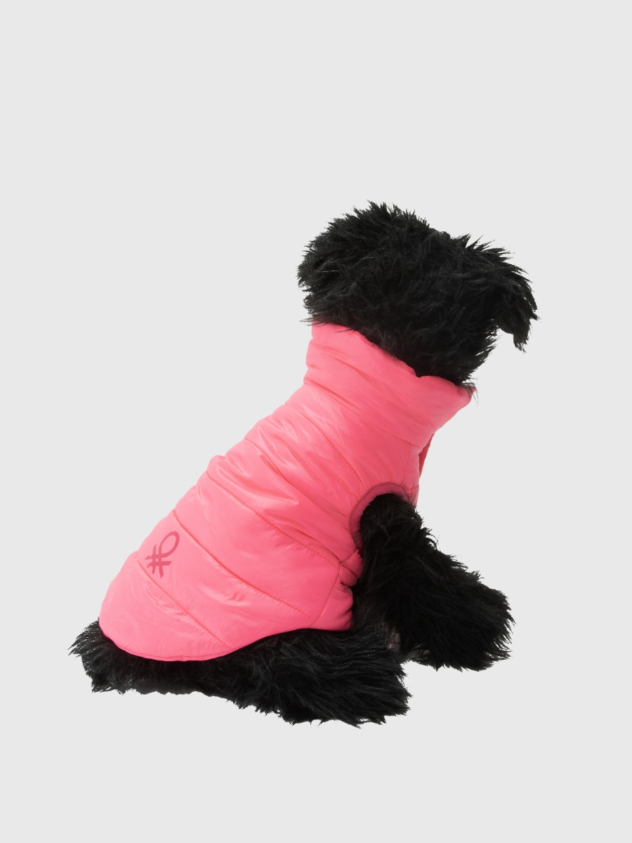 Benetton prsluk za psa xs 