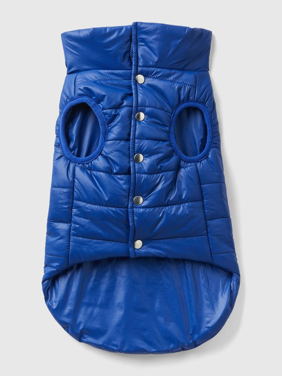 Benetton prsluk za psa 