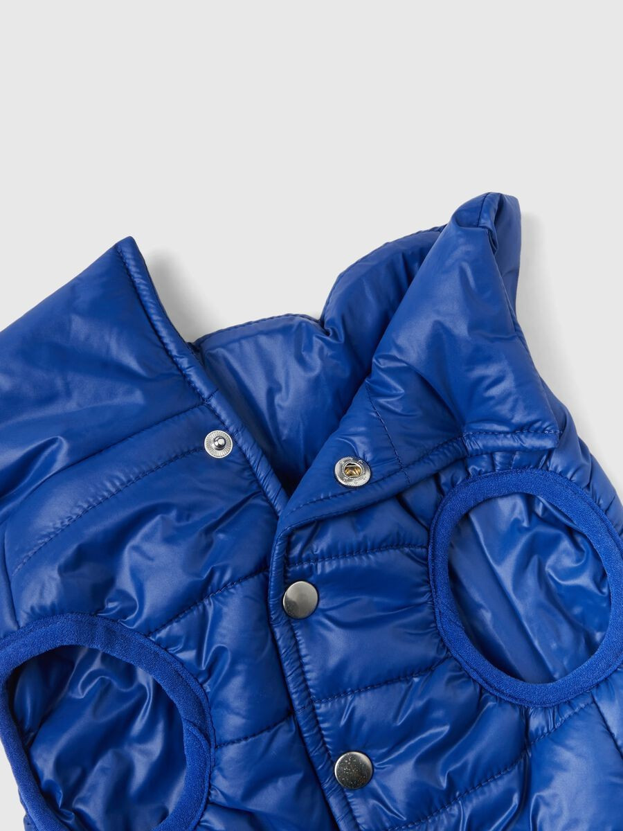 Benetton prsluk za psa 