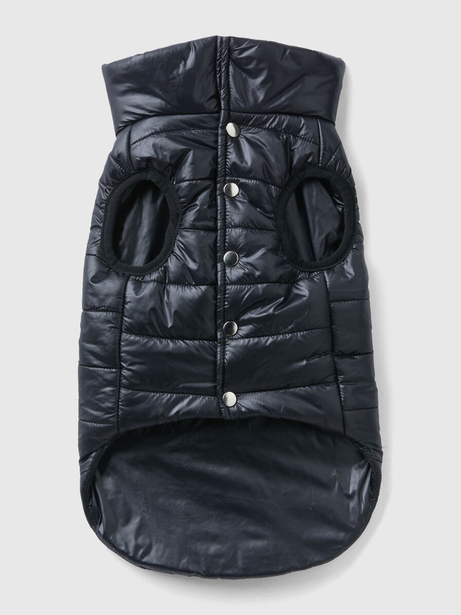 Benetton prsluk za psa 