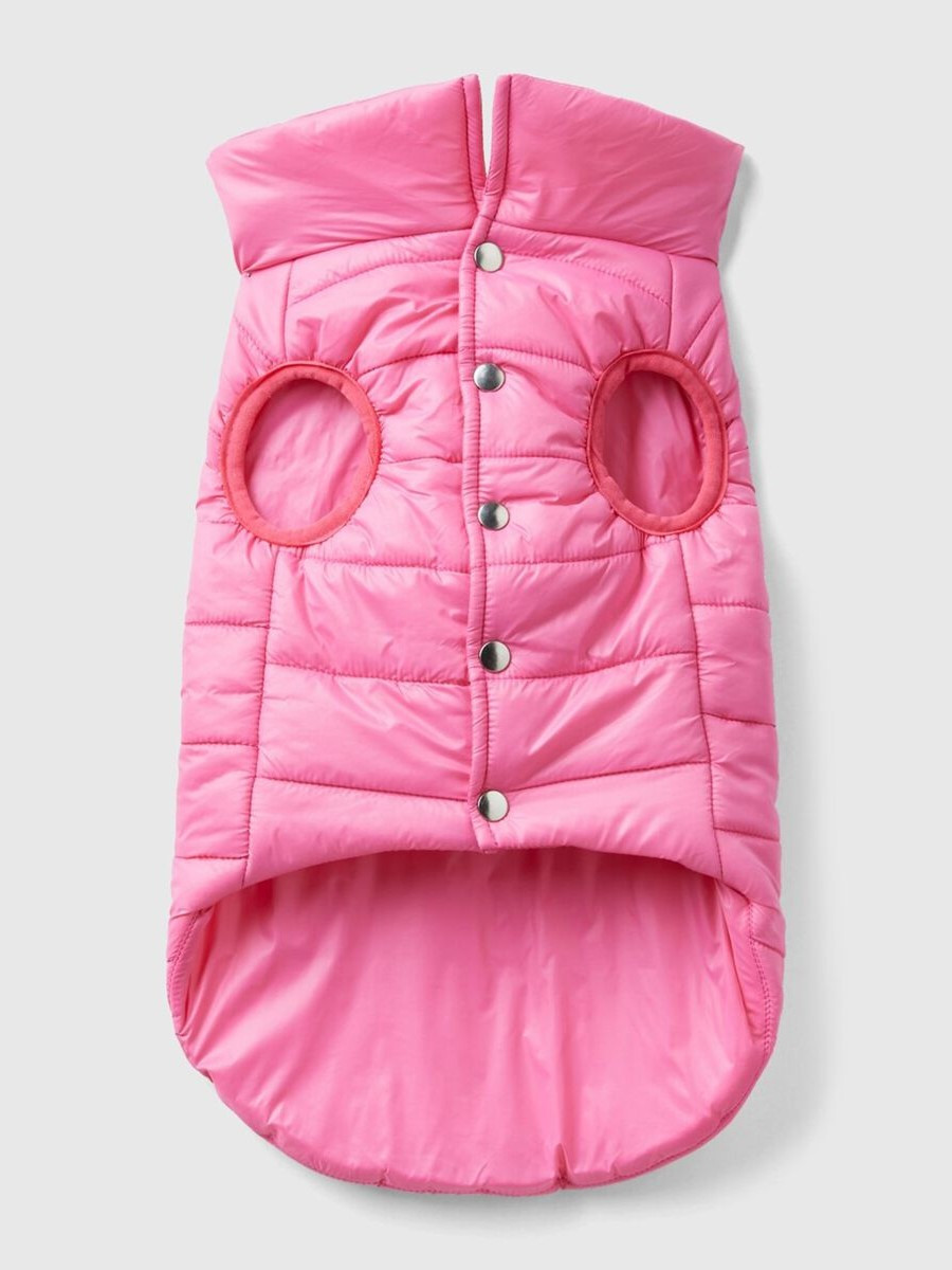 Benetton prsluk za psa 