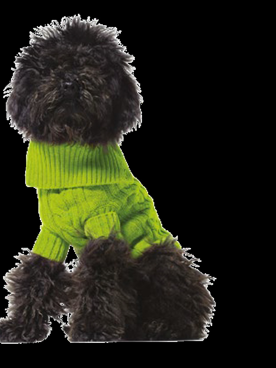 Benetton džemper za kuce xs 