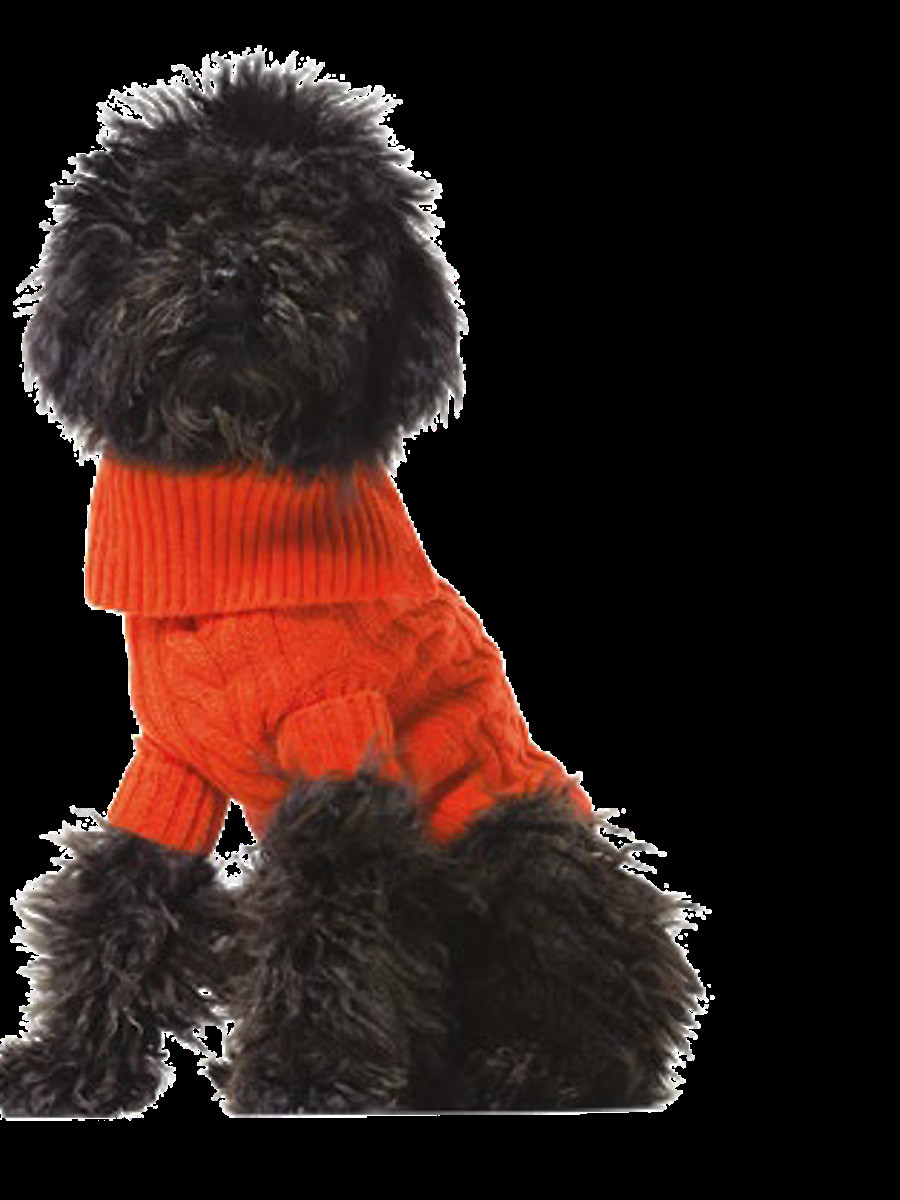 Benetton džemper za kuce xl 