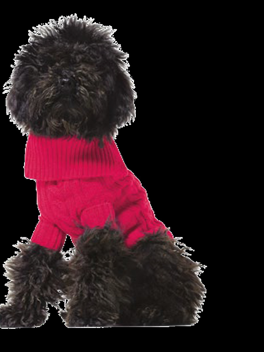 Benetton džemper za kuce xl 